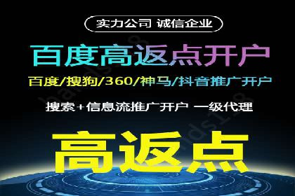 案例分析：高效信息流广告投放策略